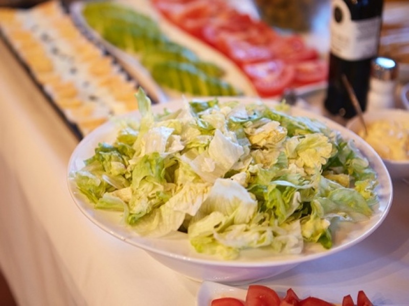 Variedad de lechugas y verduras ecológicas para componer ensaladas 